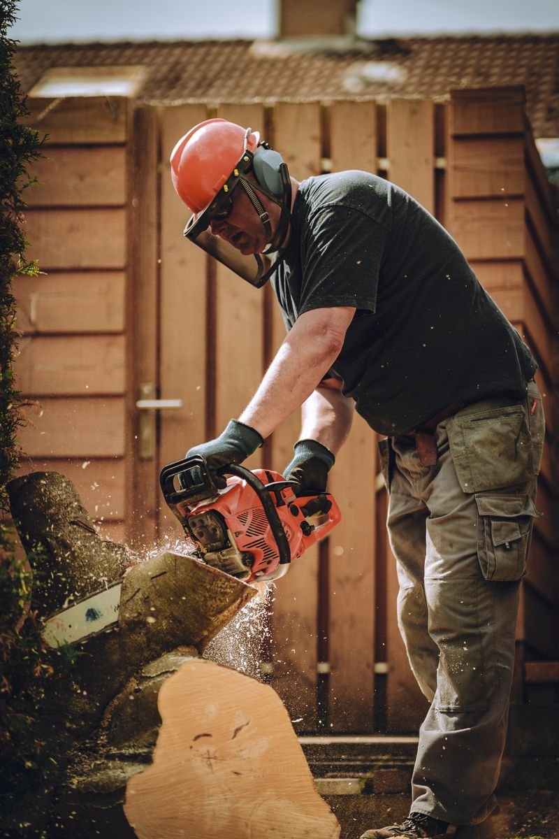 Stock tree-work photo in the Northwood Tree Care website demo